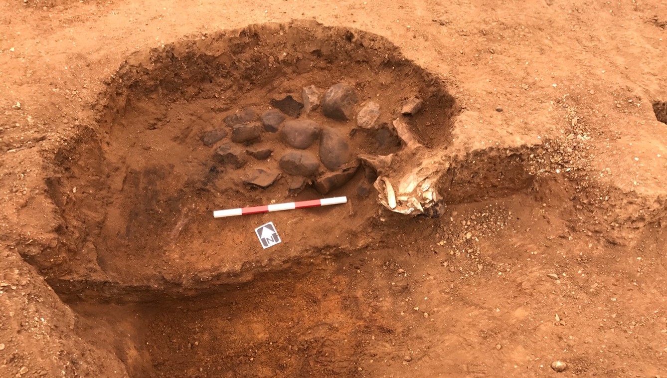 Animal bones in a pit