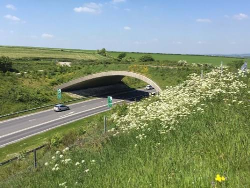 green bridge