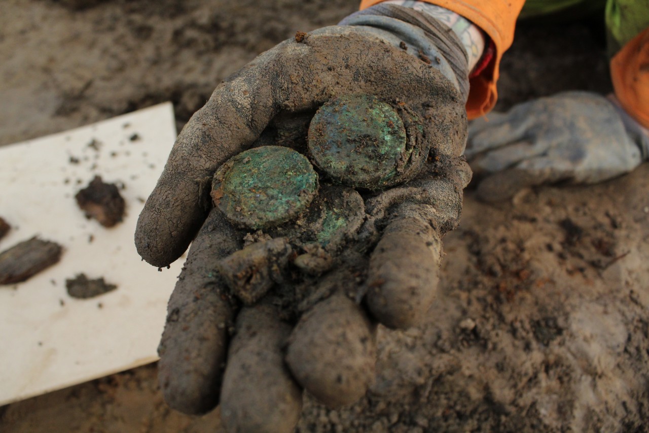 Handful of coins