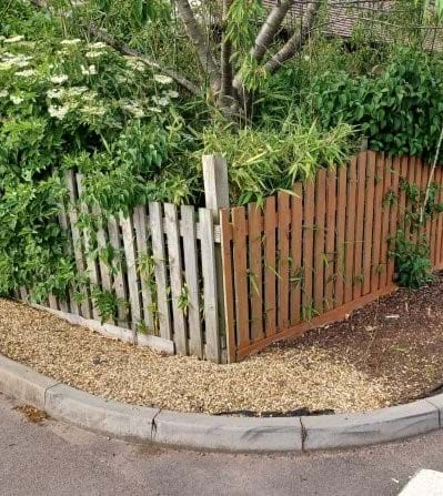 Arboretum Fence Crop