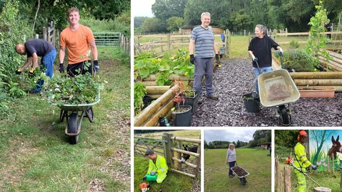 M2 junction 5 team volunteering at Dandelion Time