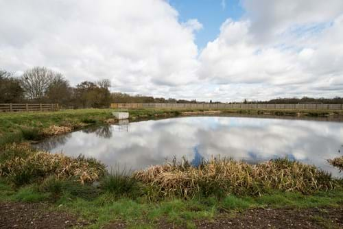 Pollution control ponds