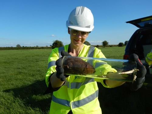 Worker with water vole