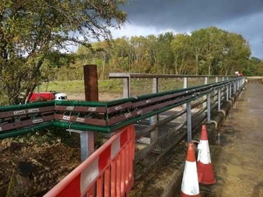 A dormouse bridge linking suitable habitat on both sides of the carriageway