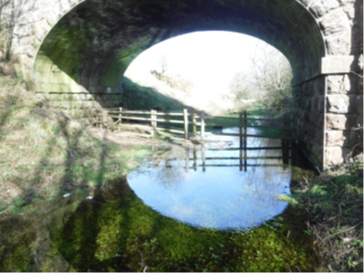 Image taken during 2017 exam showing flooding before we place clean stone