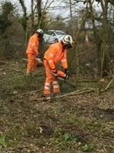 our people on site undertaking tree work