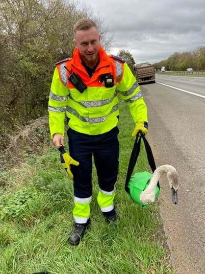 National Highways Traffic Officer Team Manager Lukas Cadman carries Boris to safety