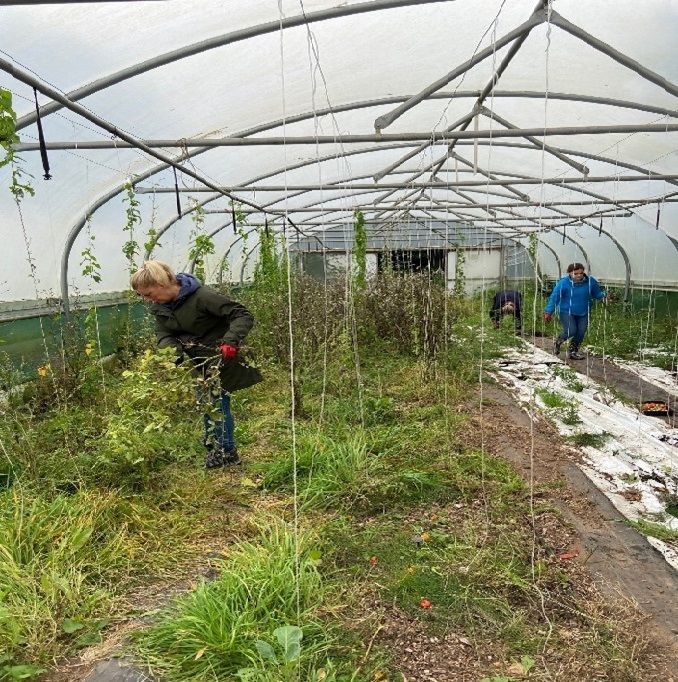 The Salop Drive Market Garden in Oldbury getting a new lease of life.